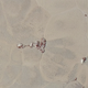 Image for article titled New, Insanely High-Resolution Pluto Images Include More Color—and Weird "Snakeskin" Textures